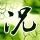 原版大阪体育大学学位证【degxx.com】